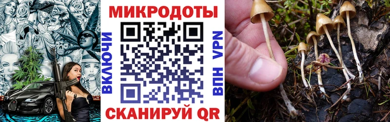 Галлюциногенные грибы Cubensis  Купить закладки  Североморск 